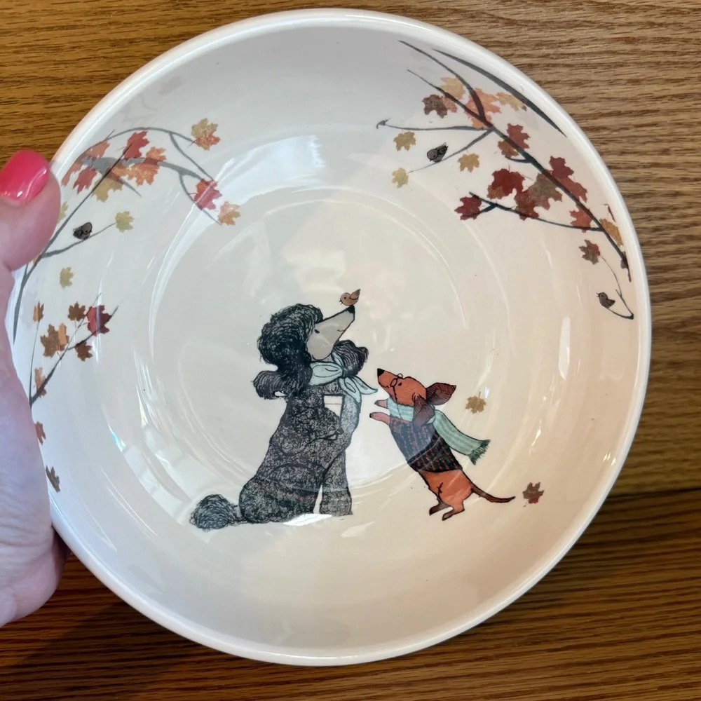 Dogs Dogs Dogs Pier 1 Imports Ironstone Ceramic Bowl Poodle Winer Dog Bull dog